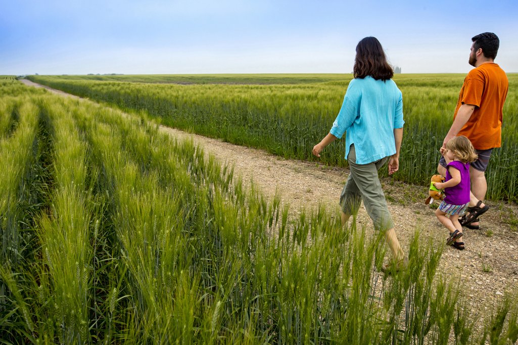 a family of 3 walking along a trail between crop fields