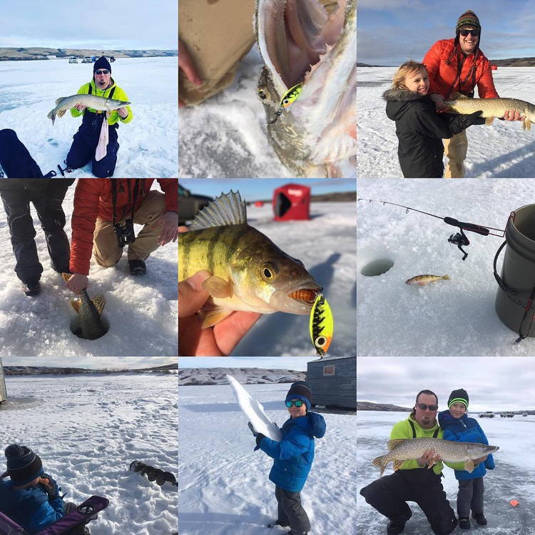 Buffalo Pound Lake