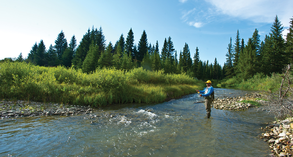 Cypress Hills Fly Fishing