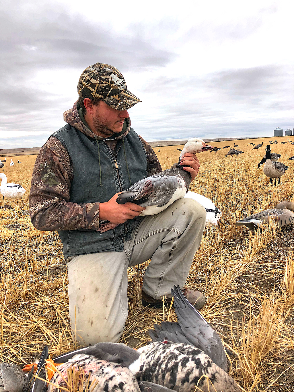 geese hunting