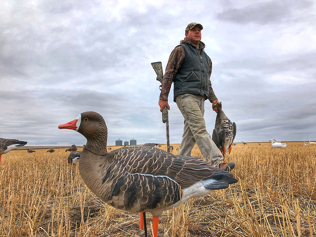 geese hunting
