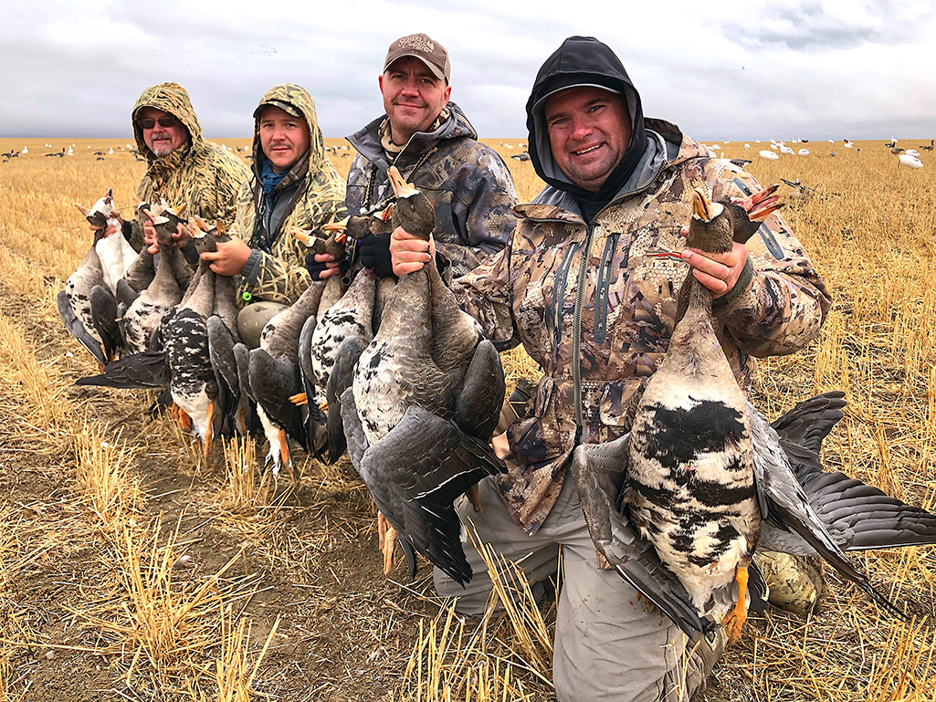 geese hunting