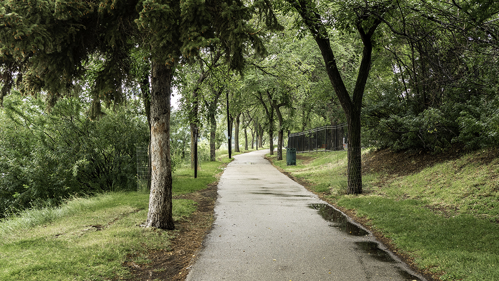 Bike riding trail on South Saskatchewan River