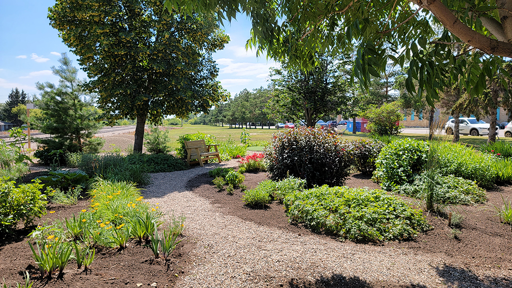 Garden Alchemy at Station Arts Centre