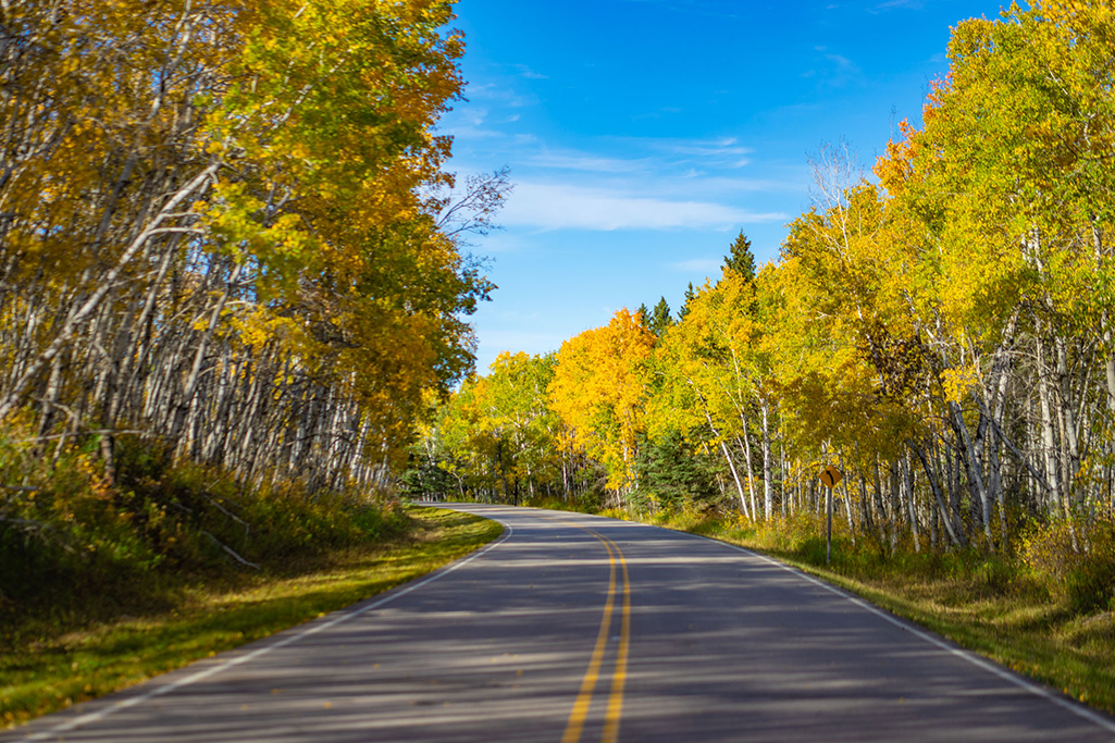 prince albert national park