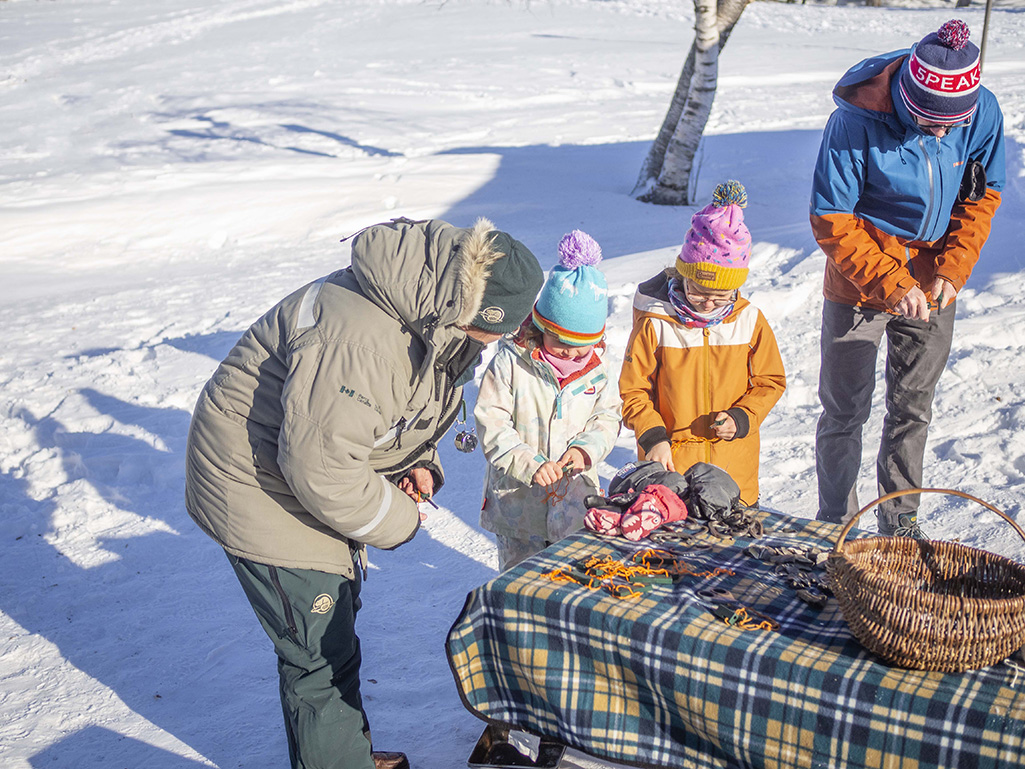 Prince Albert National Park