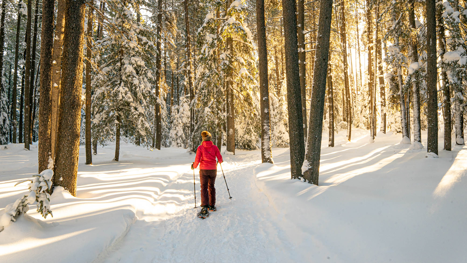 Snowshoeing in Saskatchewan