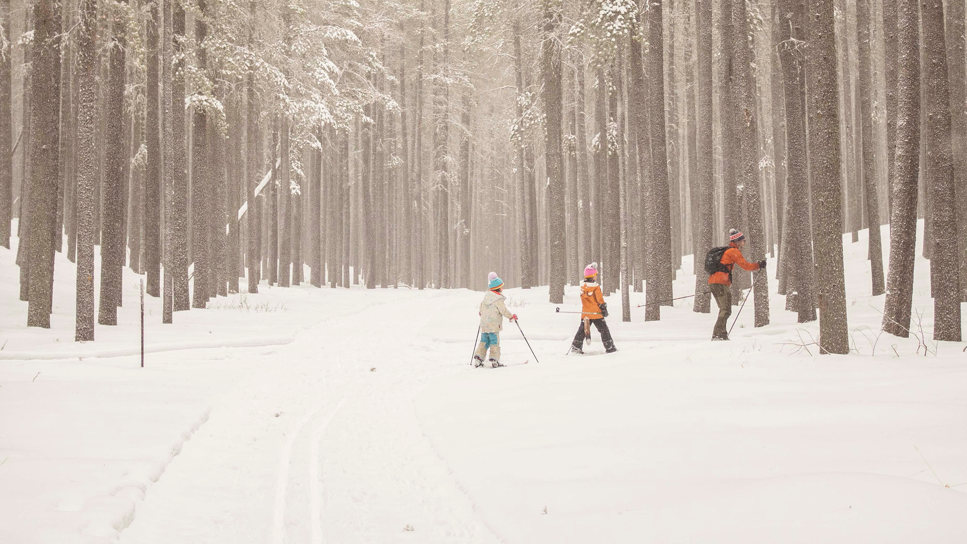 Escape to a Winter Wonderland in Cypress Hills Interprovincial Park