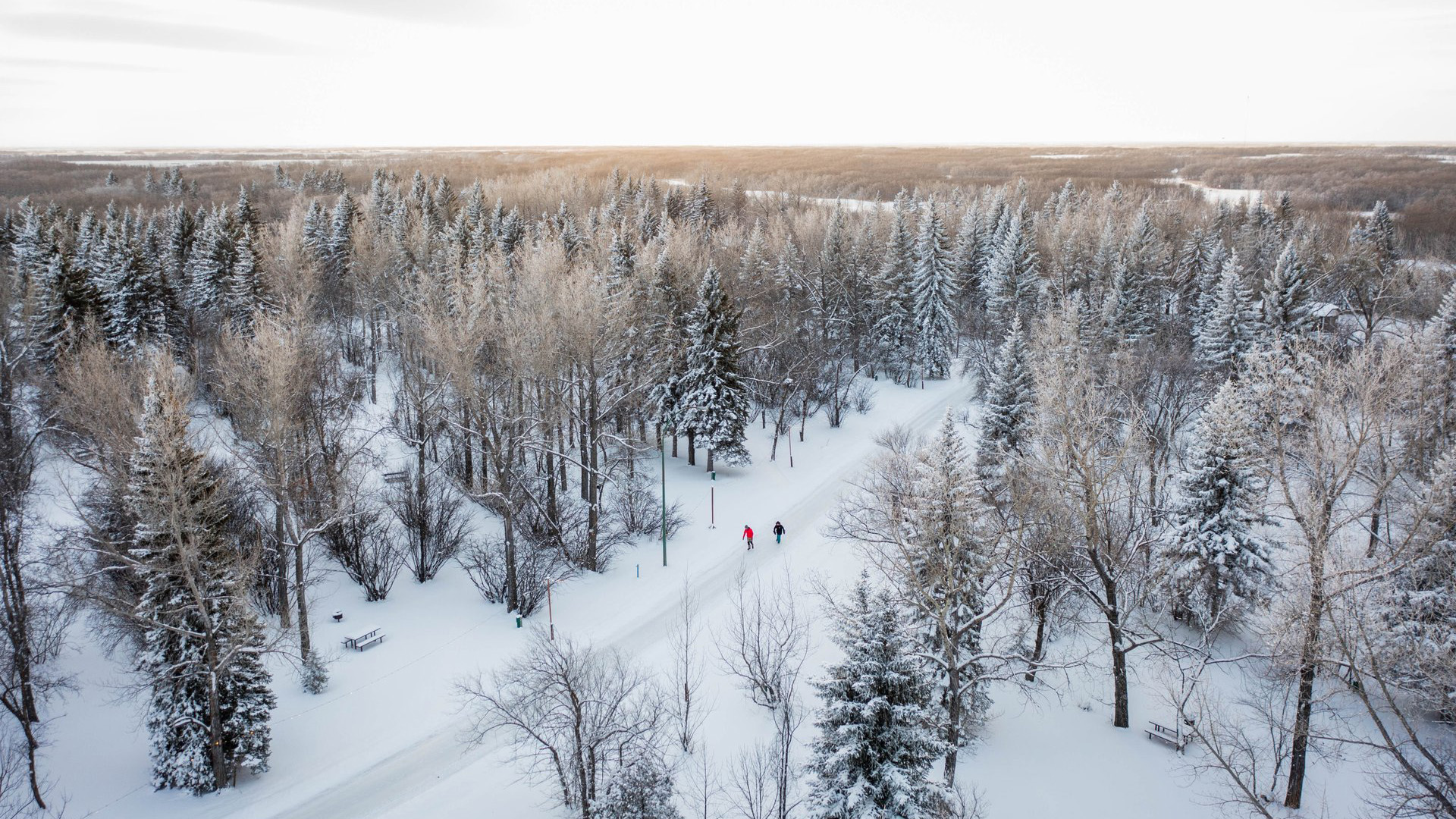 Unique Outdoor Skating Rinks in Saskatchewan