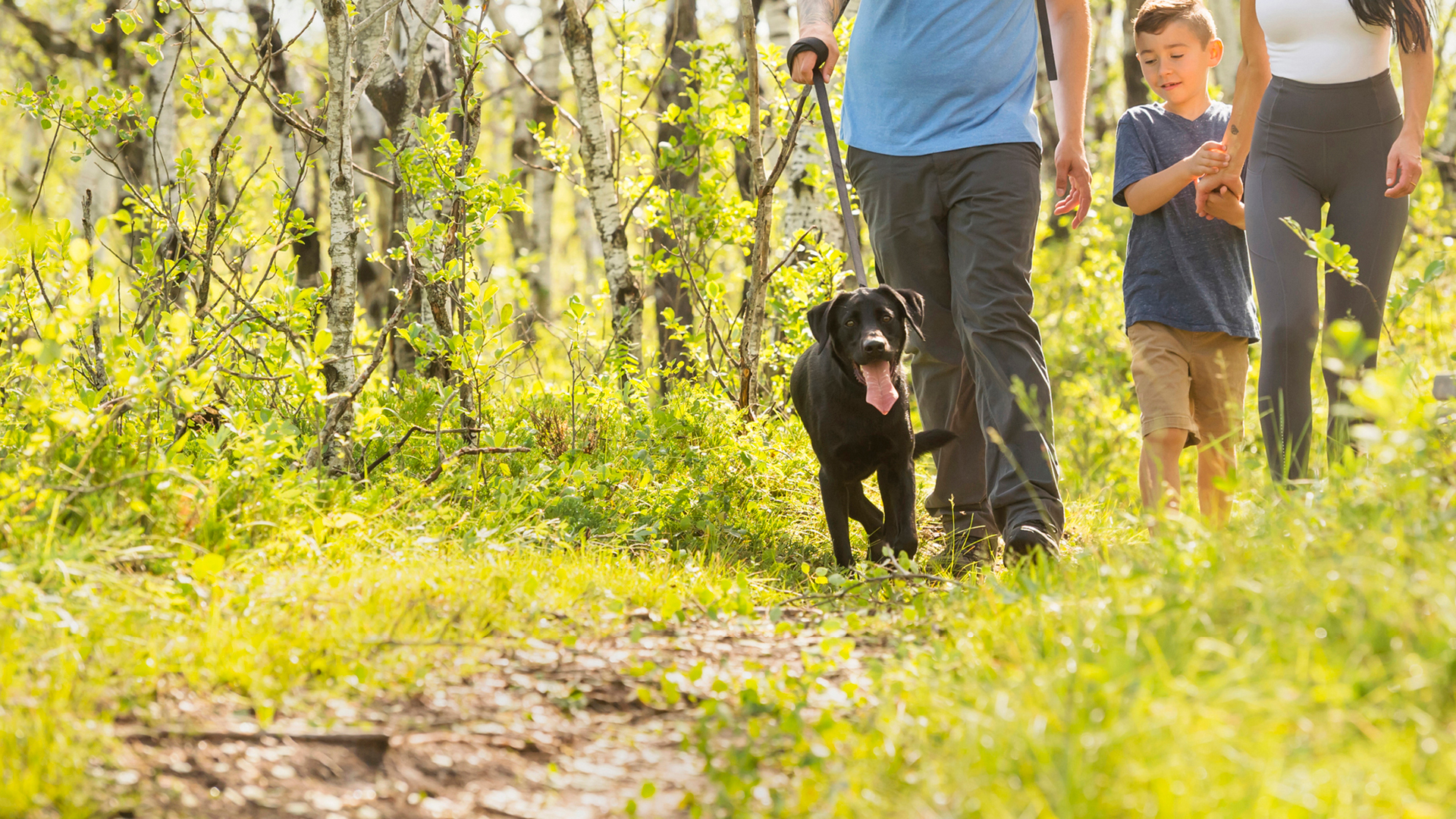 8 Dog-friendly Getaways in Saskatchewan