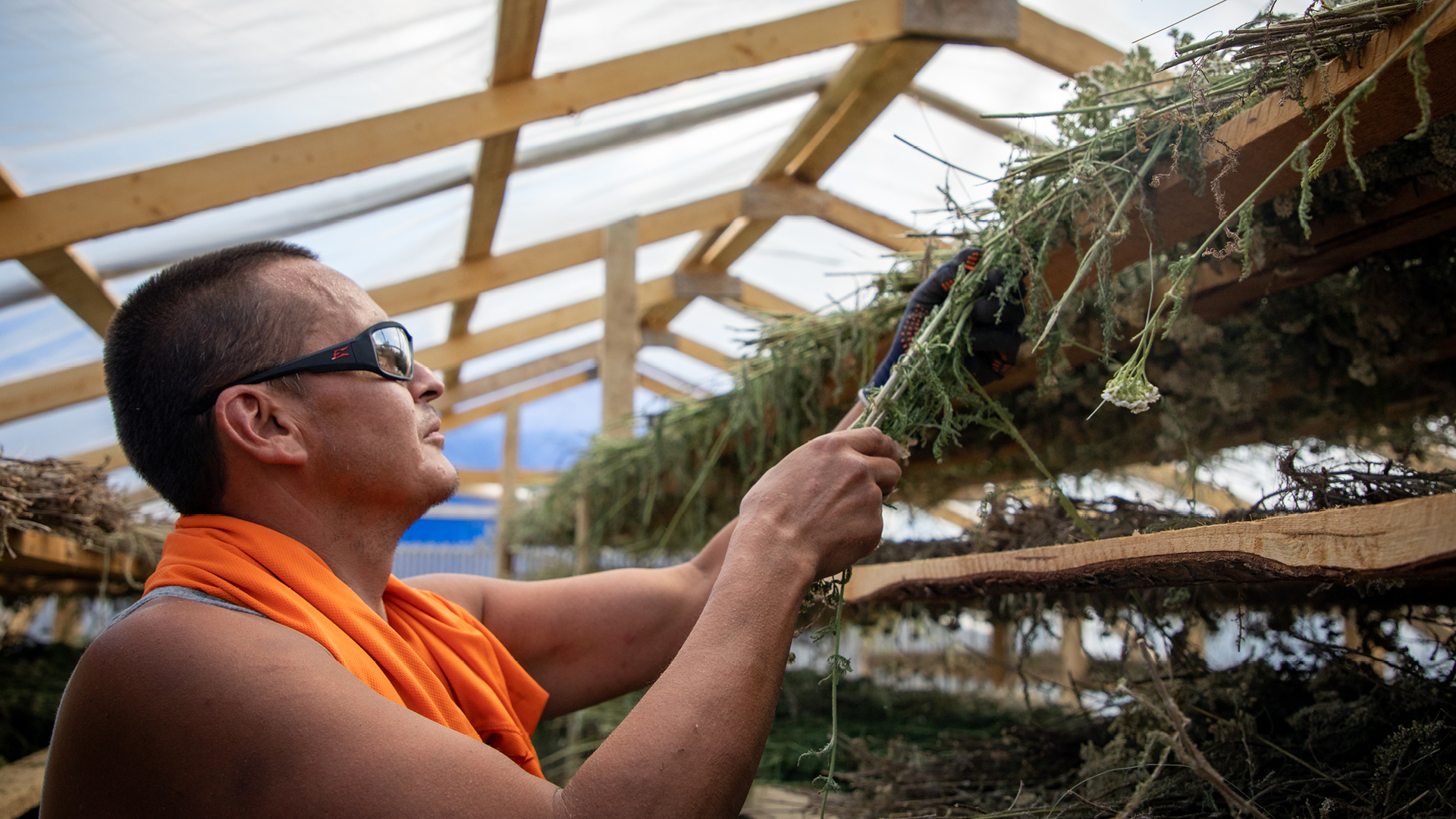 Sharing the North: Food Producers of Northern Saskatchewan