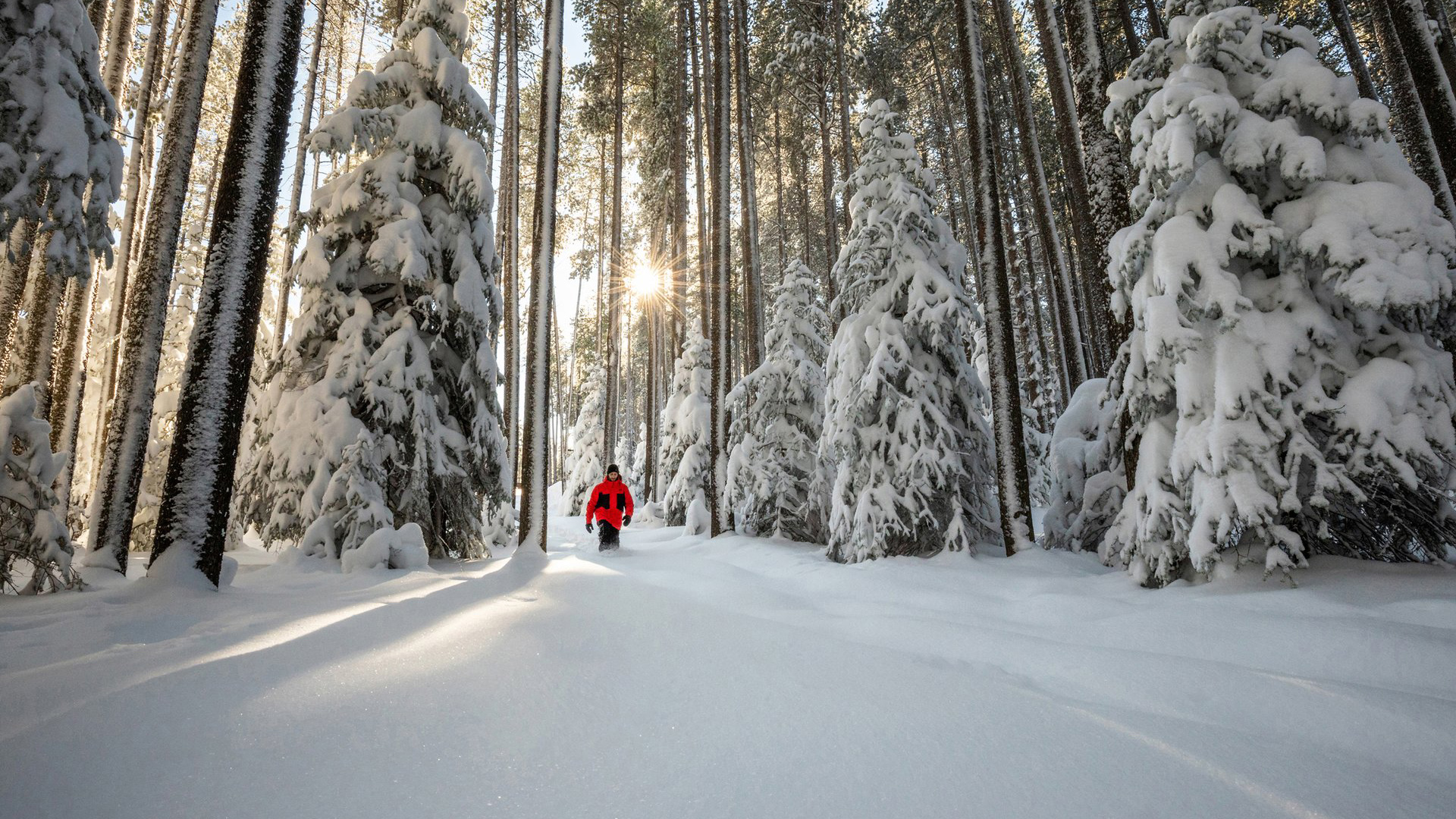 Top Saskatchewan Winter Destinations