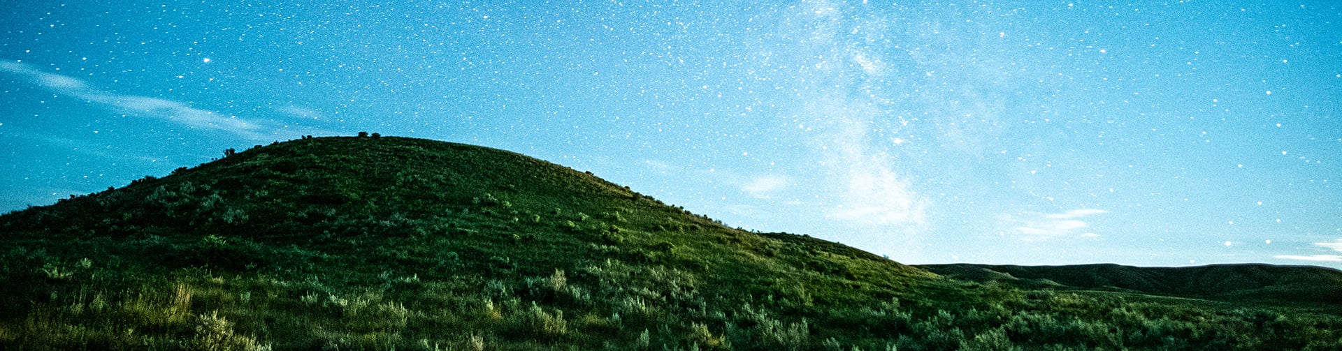 A grassy hillside with the Milky Way visible in the sky.