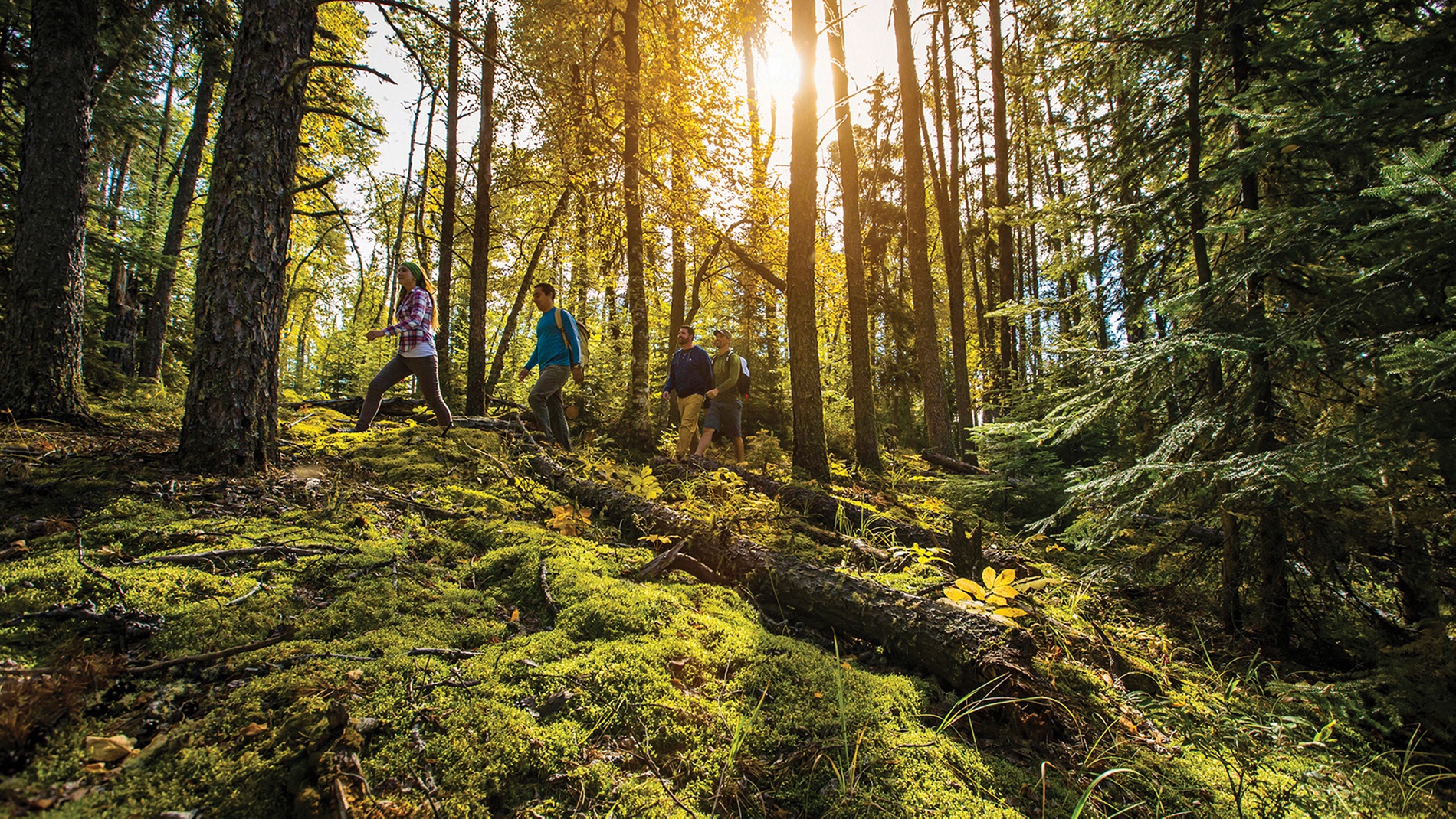 Leveraging the Saskatchewan Tourism Brand