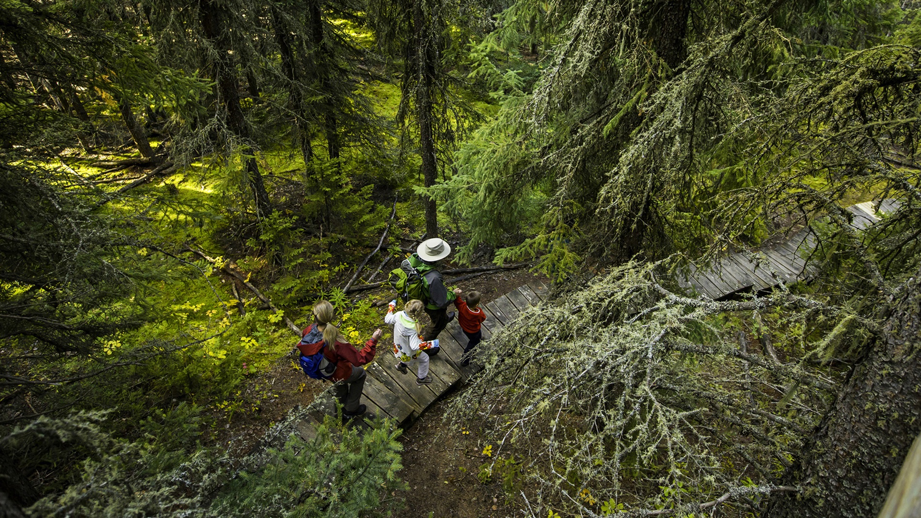 Prince Albert National Park