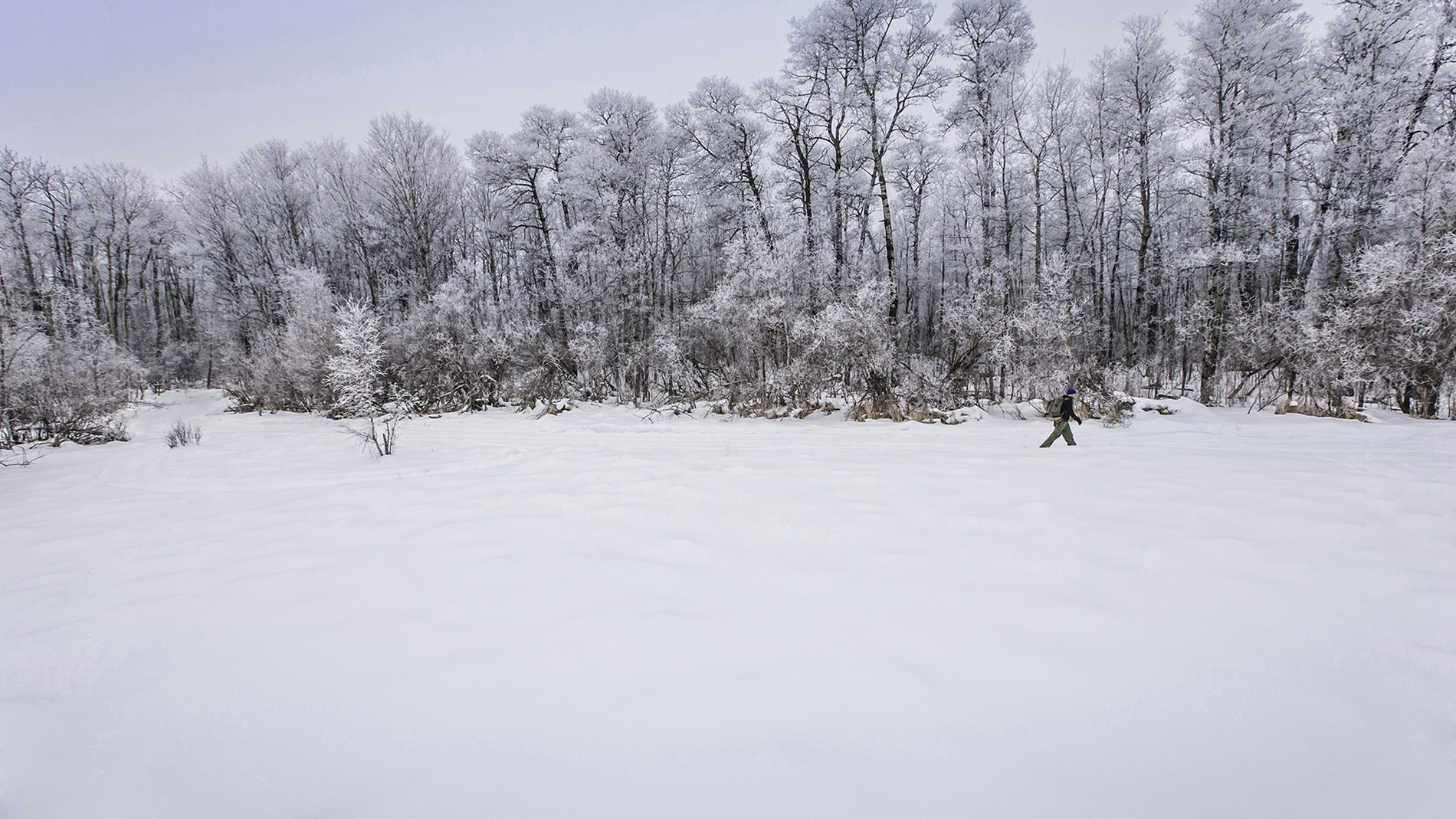 Saskatchewanderer Header