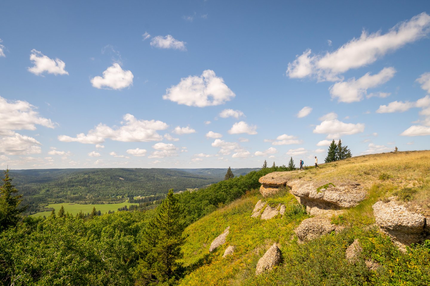 birding cypress hills sask