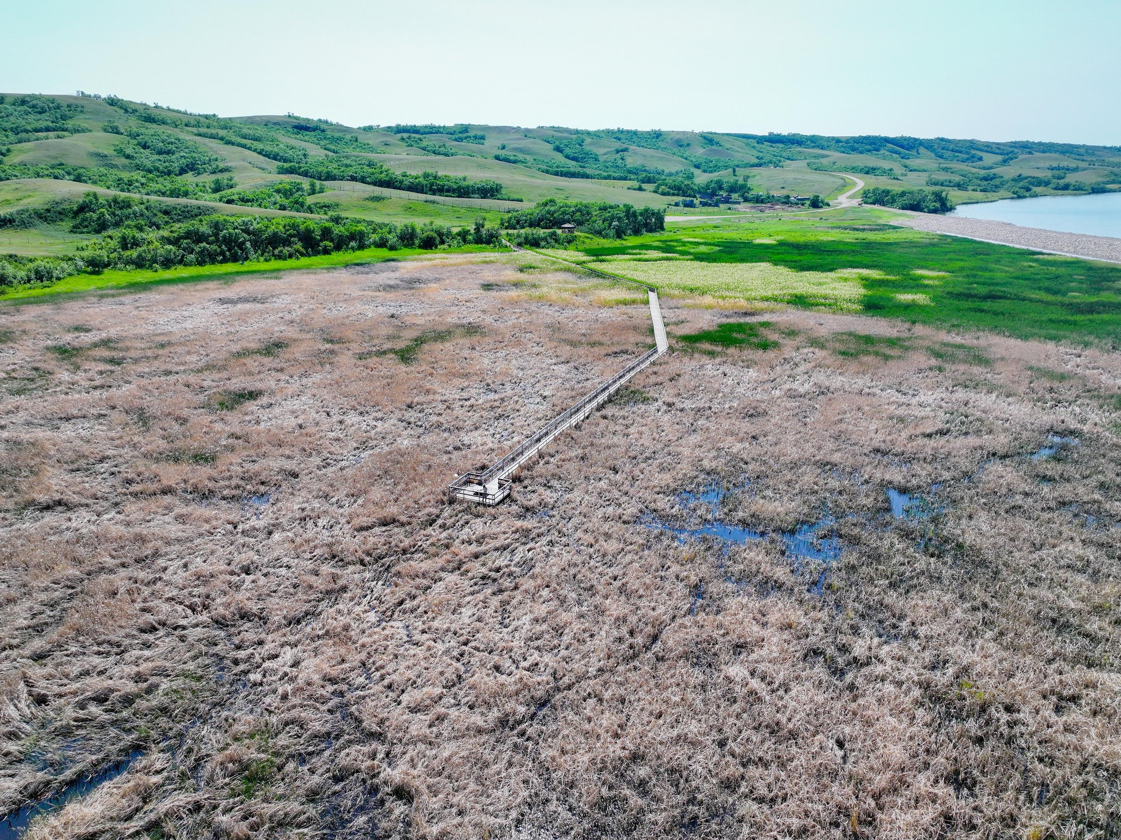 Your Guide to Best Birdwatching Spots in Saskatchewan