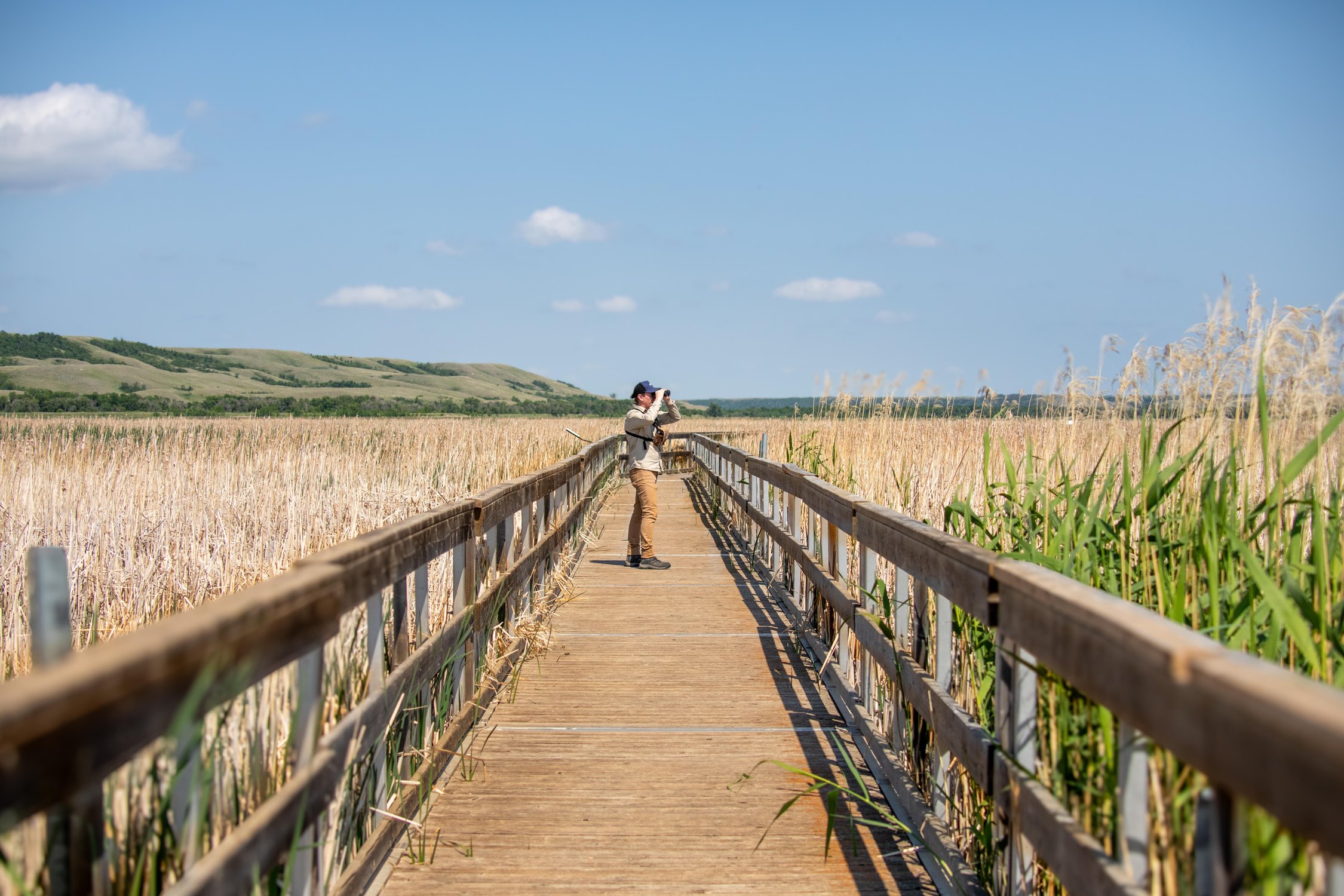 A Beginner’s Guide to Birdwatching in Saskatchewan