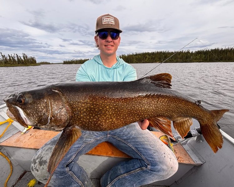 Lake Trout