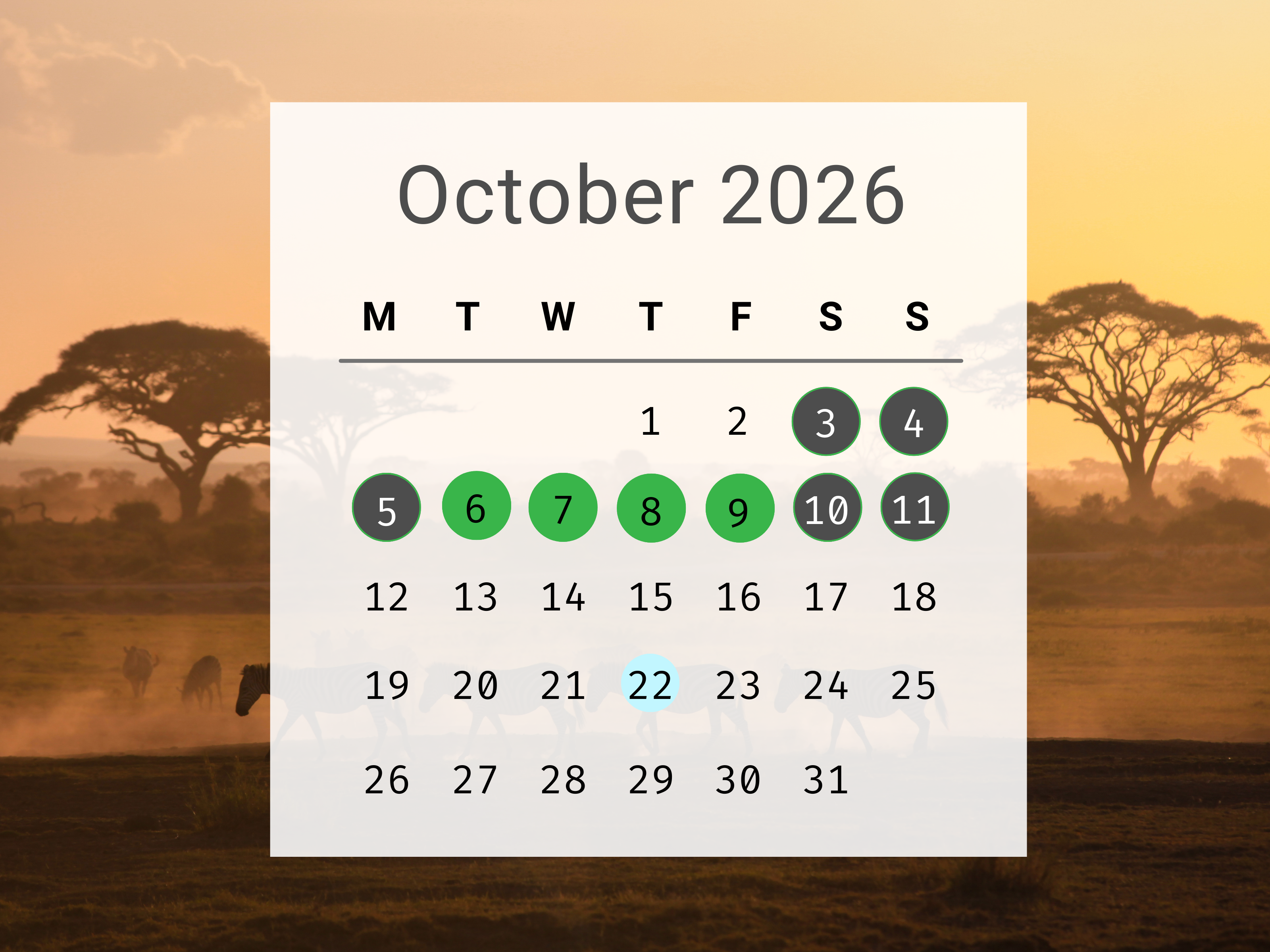 A - TMOZ - Blog Feature Image (16)