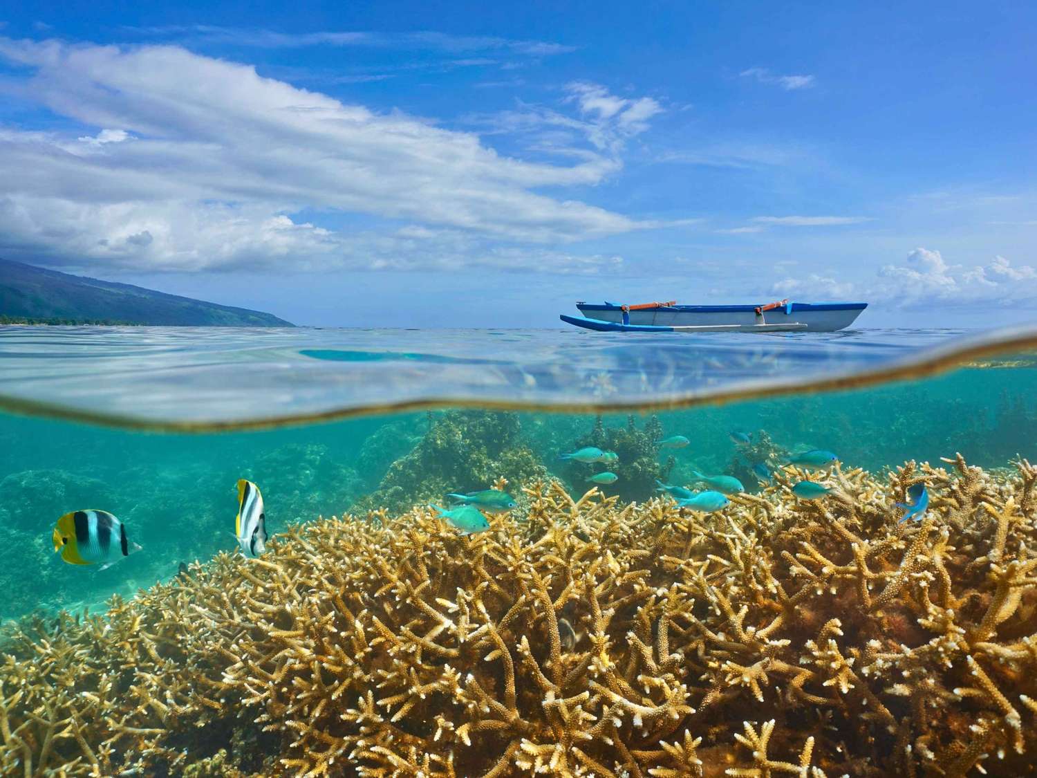 A photo of the coral reef in Tahiti