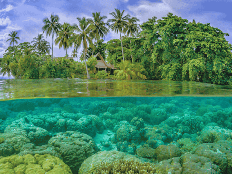 SBD_Solomon-OGWEBedit