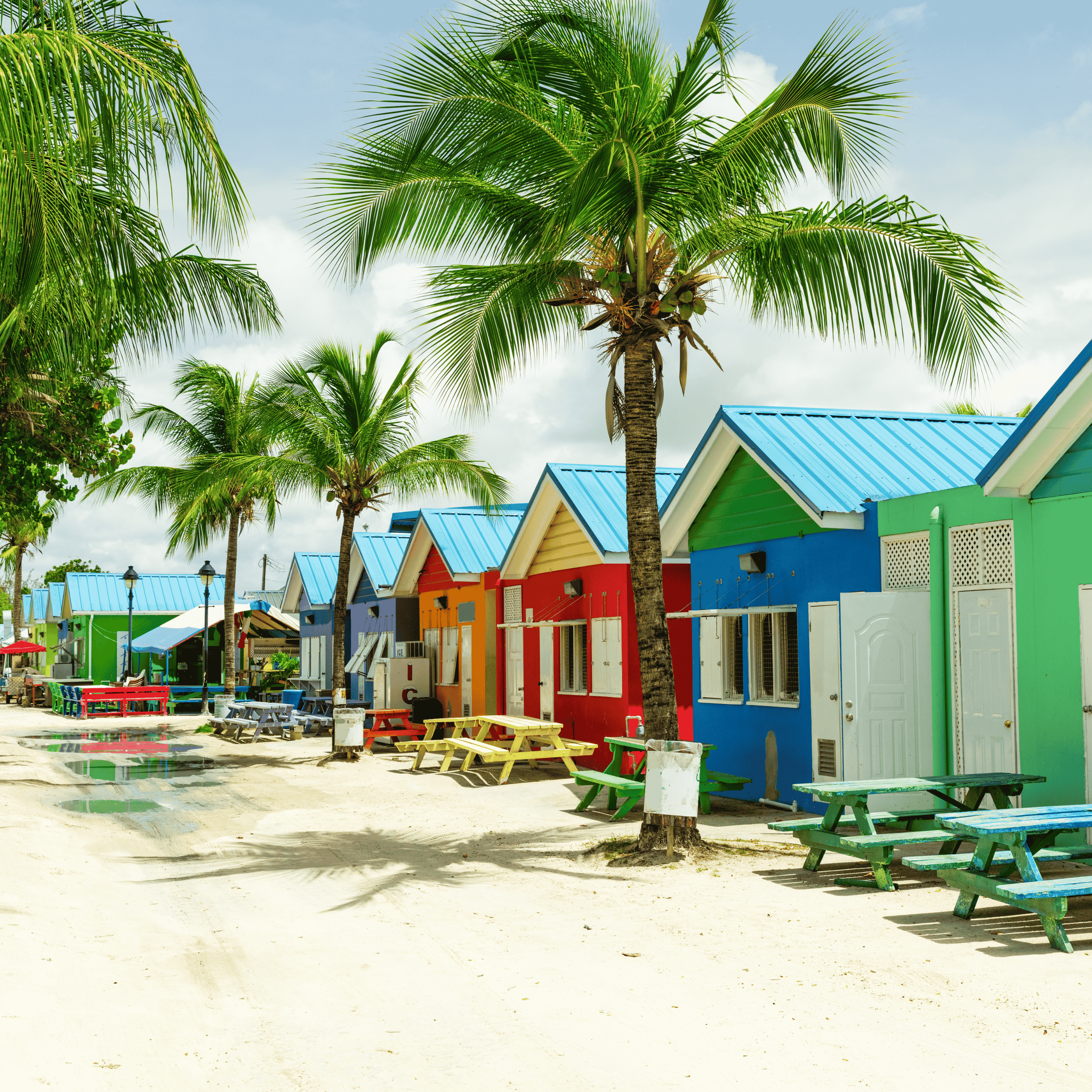 Colourful beach houses in Barbados