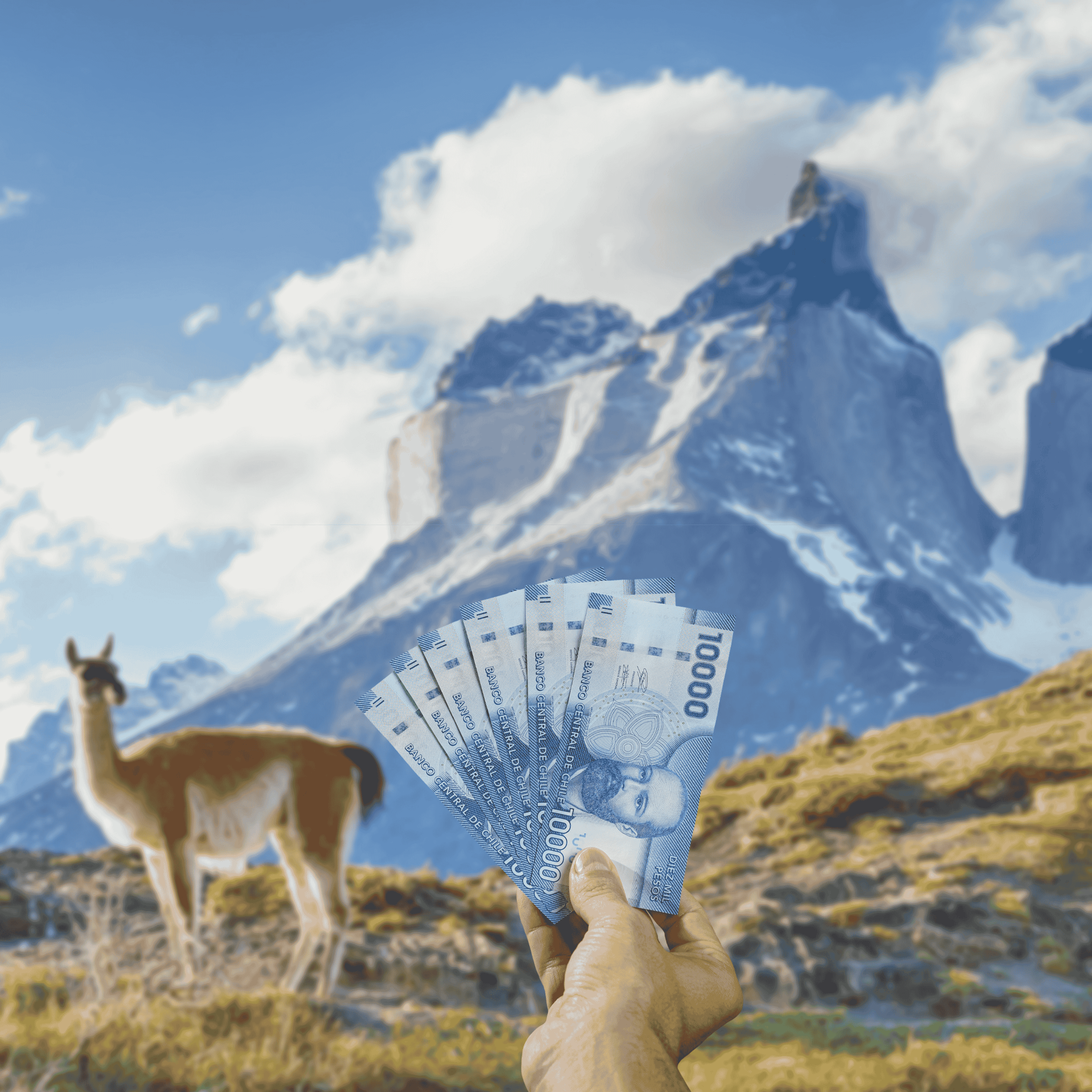 Traveller holding Chilean Pesos (CLP) currency in front of The Andes mountain range with a vicuña (South American animal similar to llama) in view, Chile