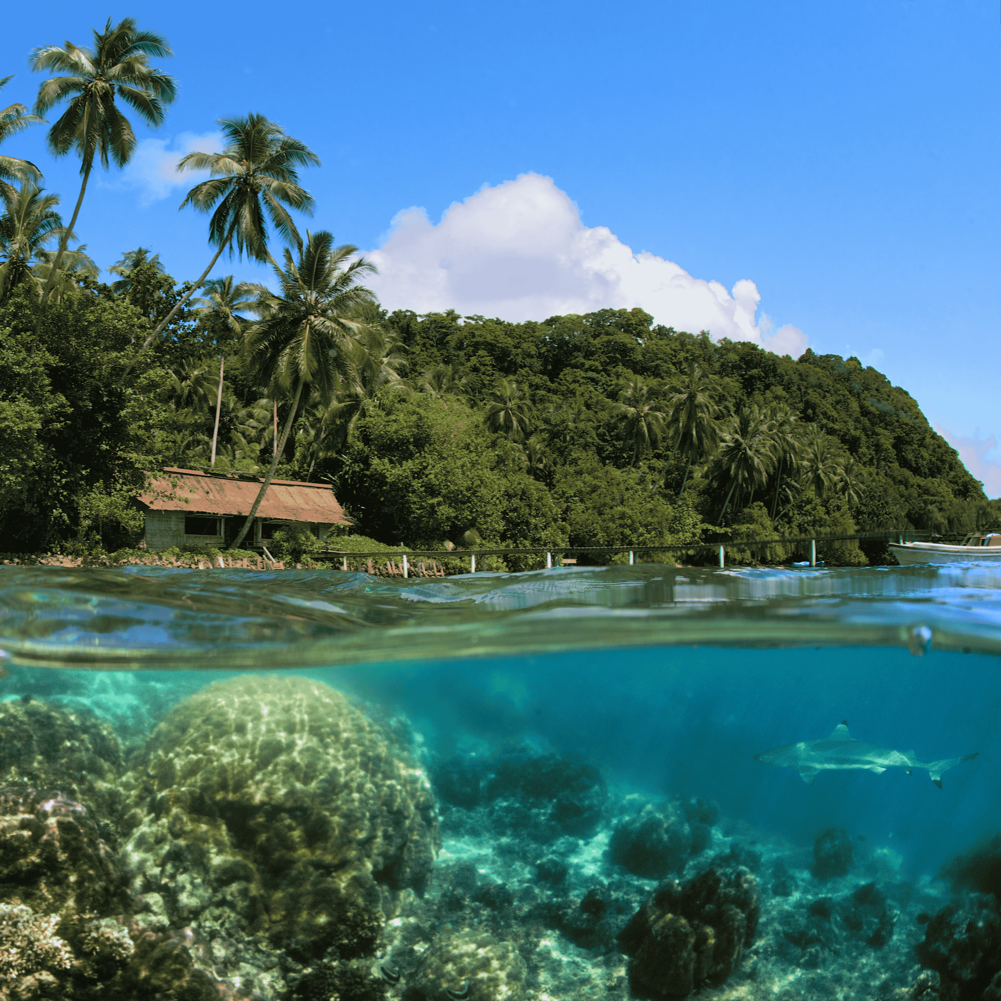 Underwater shot of house in the Solomon Islands