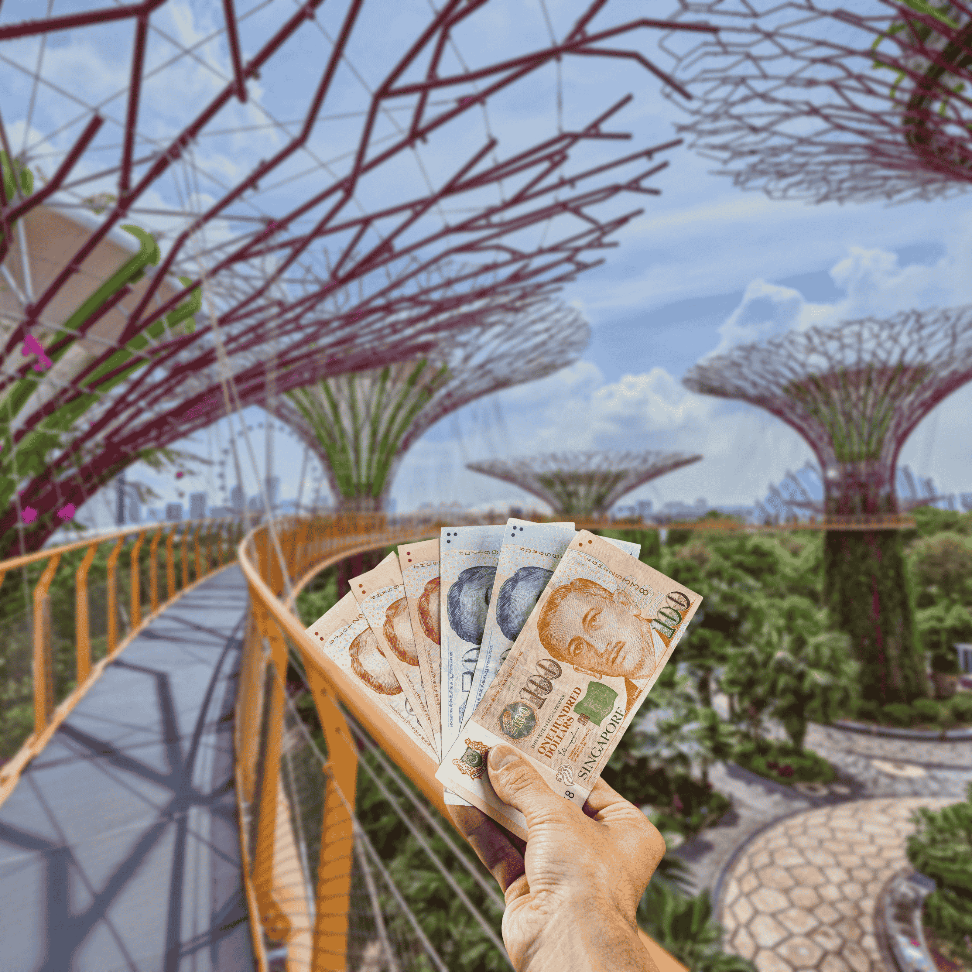 Traveller holding Singapore Dollars (SGD) currency in front of Singapore's Super Trees, Singapore