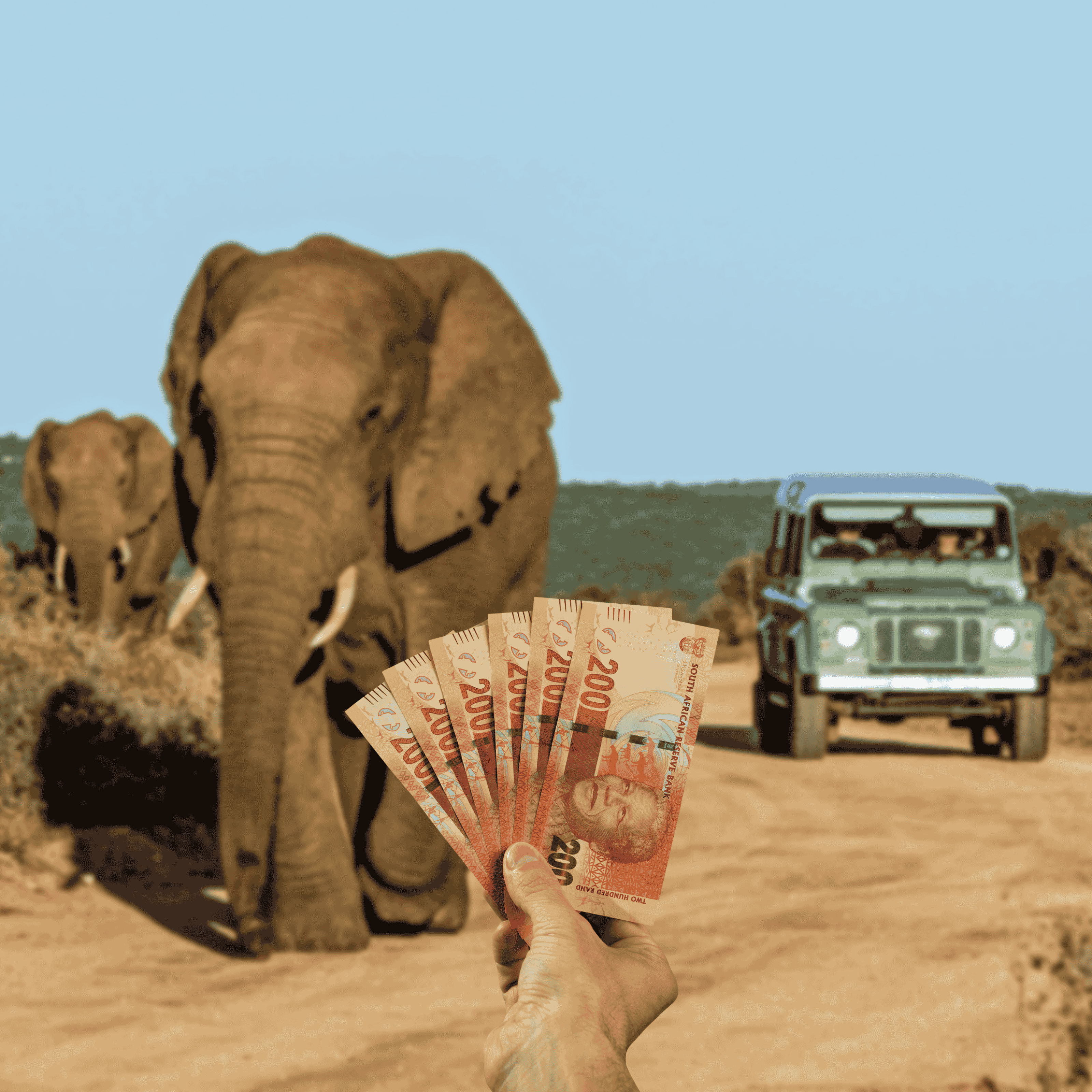 Traveller holding South Africa Rand (ZAR) currency in front of wild elephants while on safari in South Africa