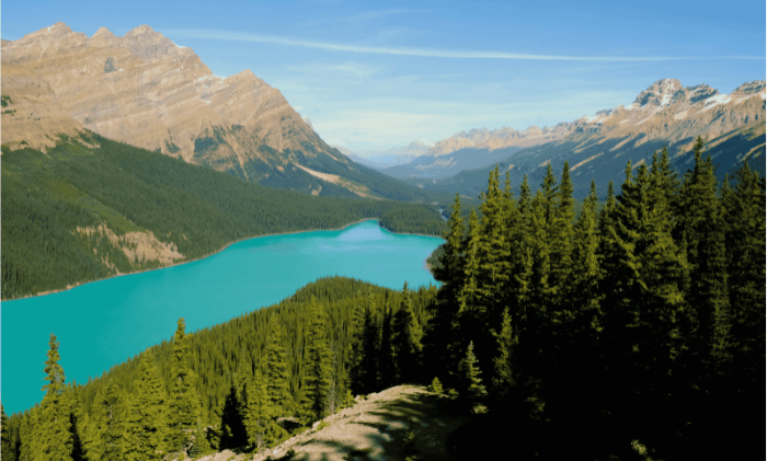 CAD_Canada_PeytoLake_138kb