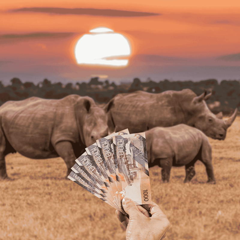 Kenyan Shilling (KES) notes with Maasai Mara safari wildlife