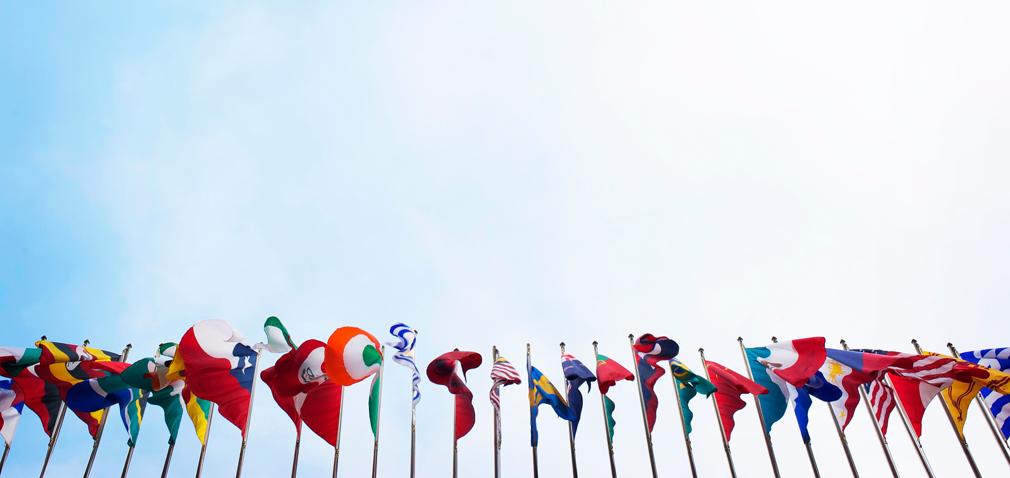Image of many flags