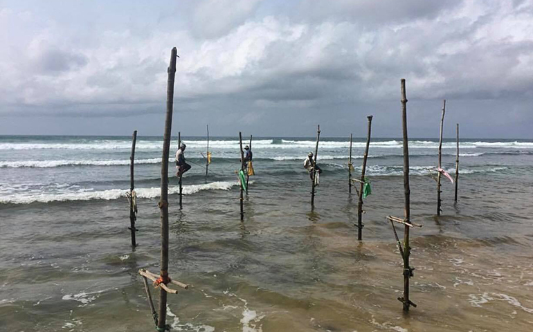 Traditional Stilt Fisherman, Sri Lanka