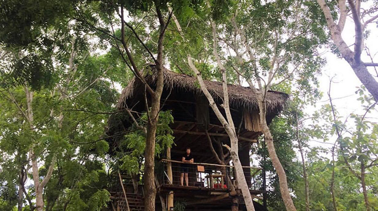 Tissa tree house