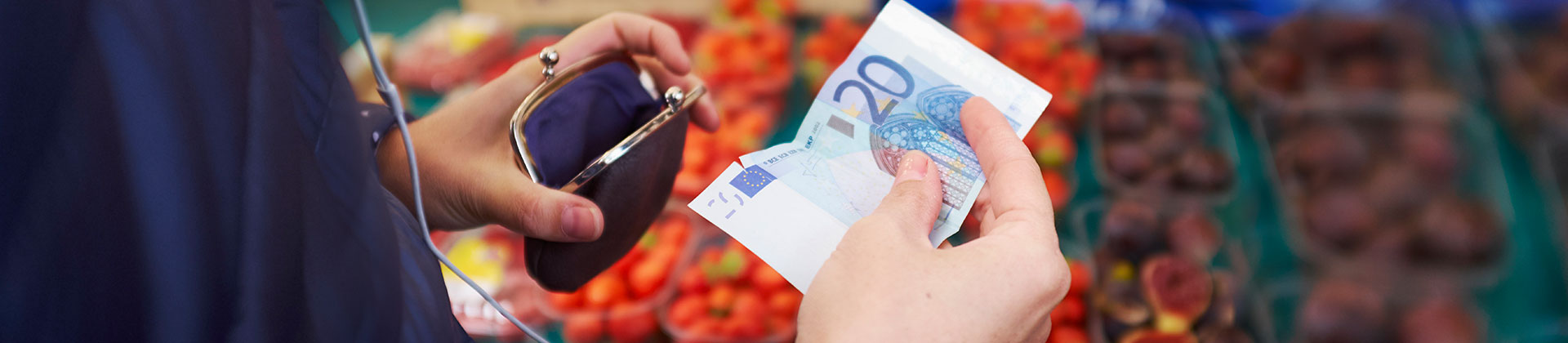 Language of Money - Euro at market