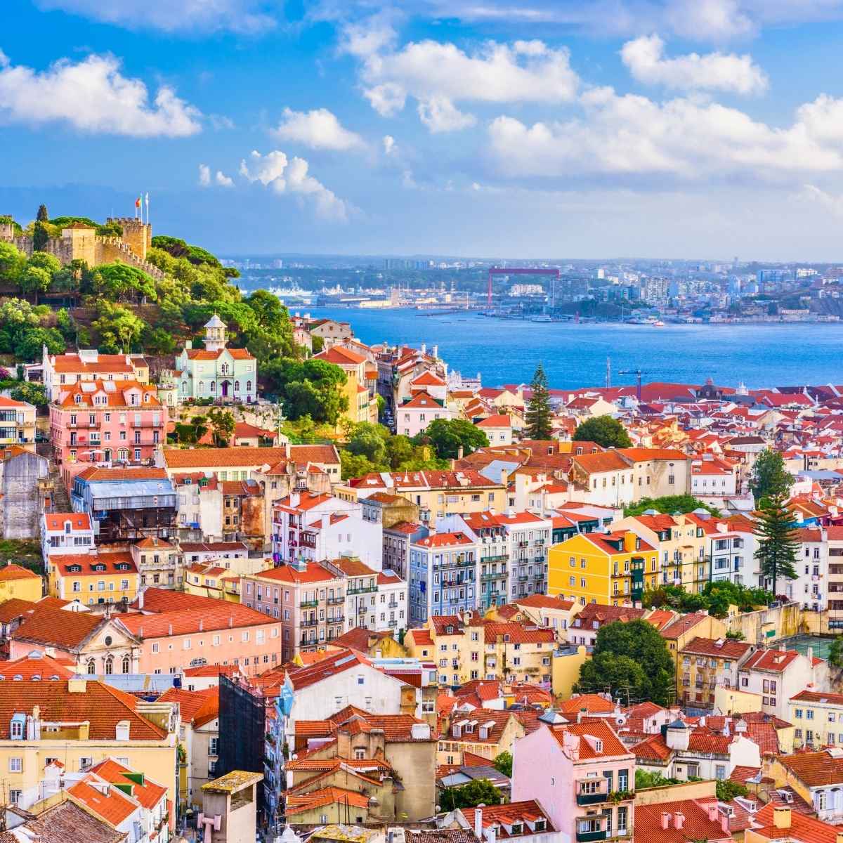 A - TMOZ -  Blog Hero Image (2)