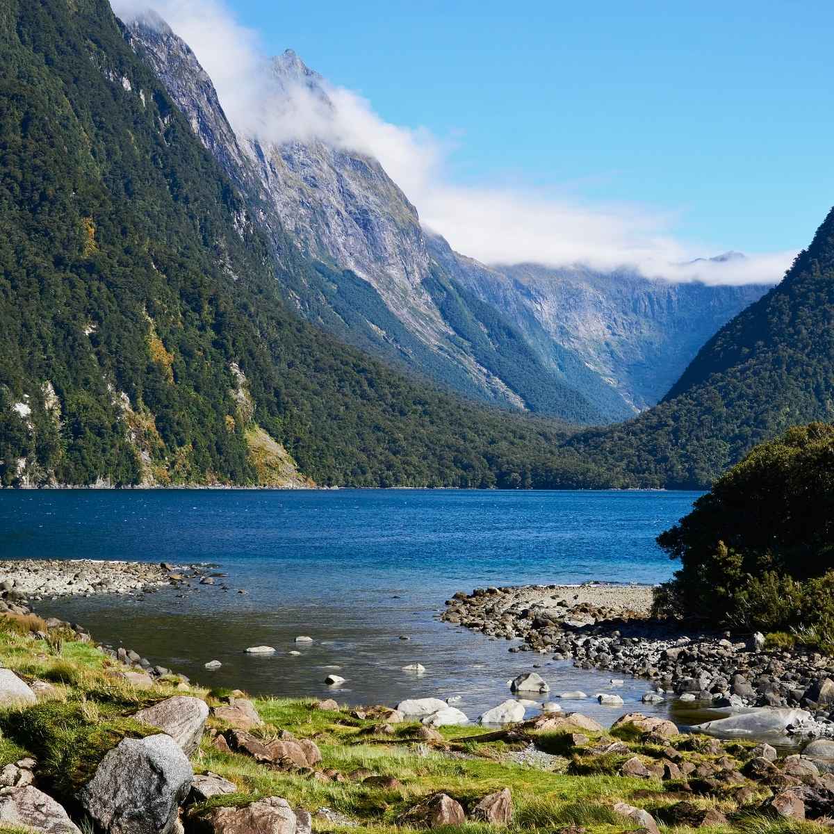 A photo of Milford Sound in New Zealand