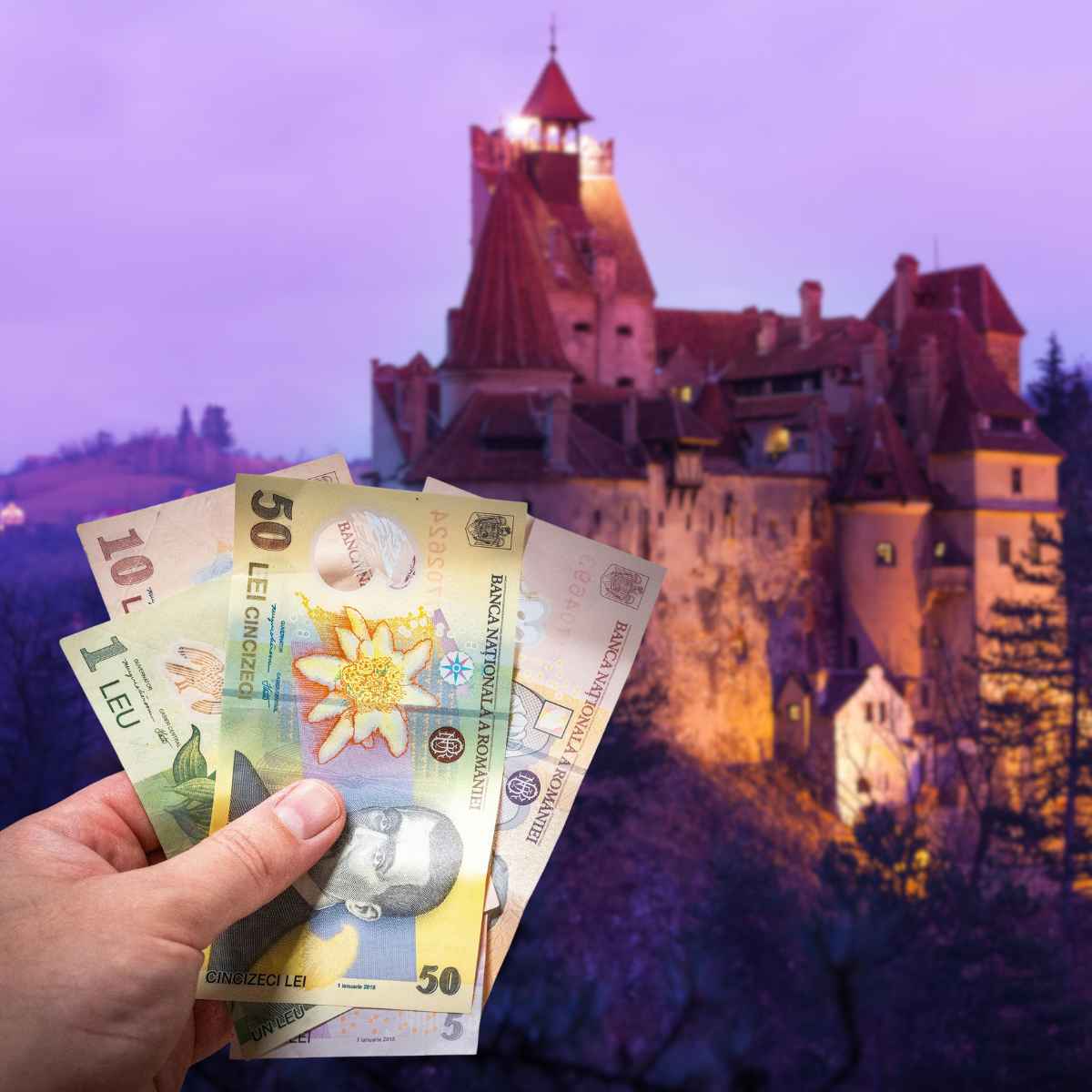 A - TMOZ -  Blog Hero Image (18)_11zon