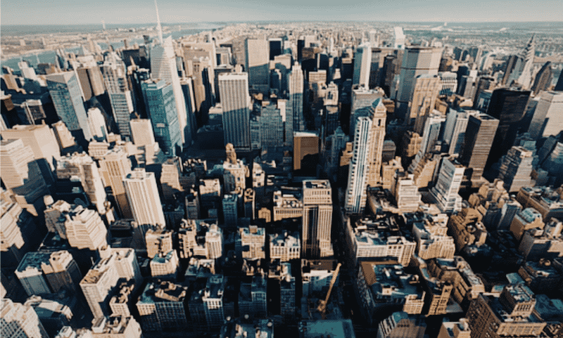 Corporate Organizations