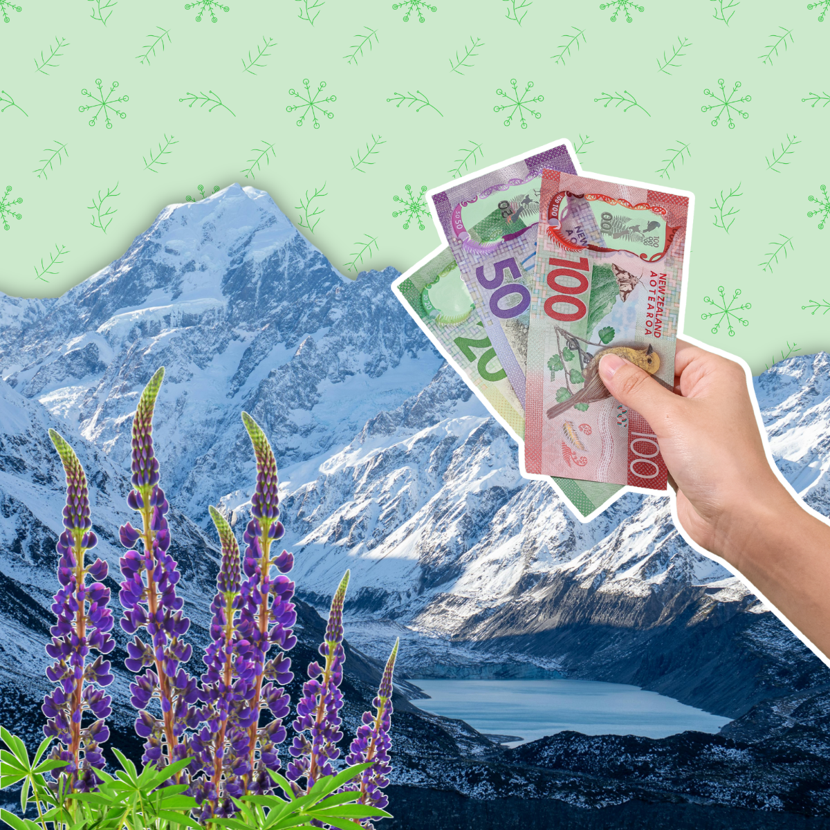 How much does it cost to travel to NZ