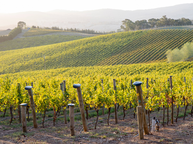 Foreign Exchange Adelaide