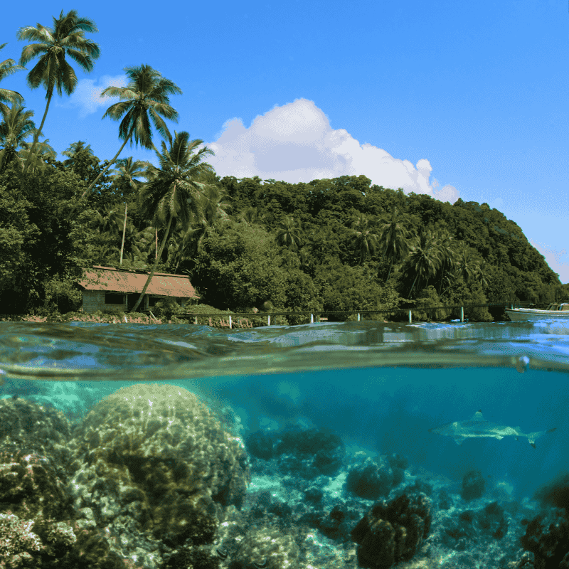 SBD_SolomonIslands