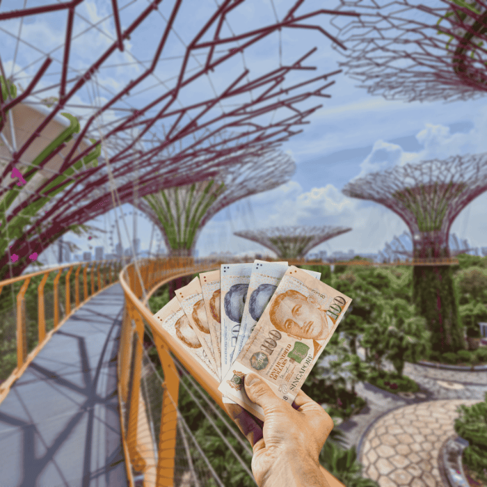 SGD_CashIn_Singapore_283kb