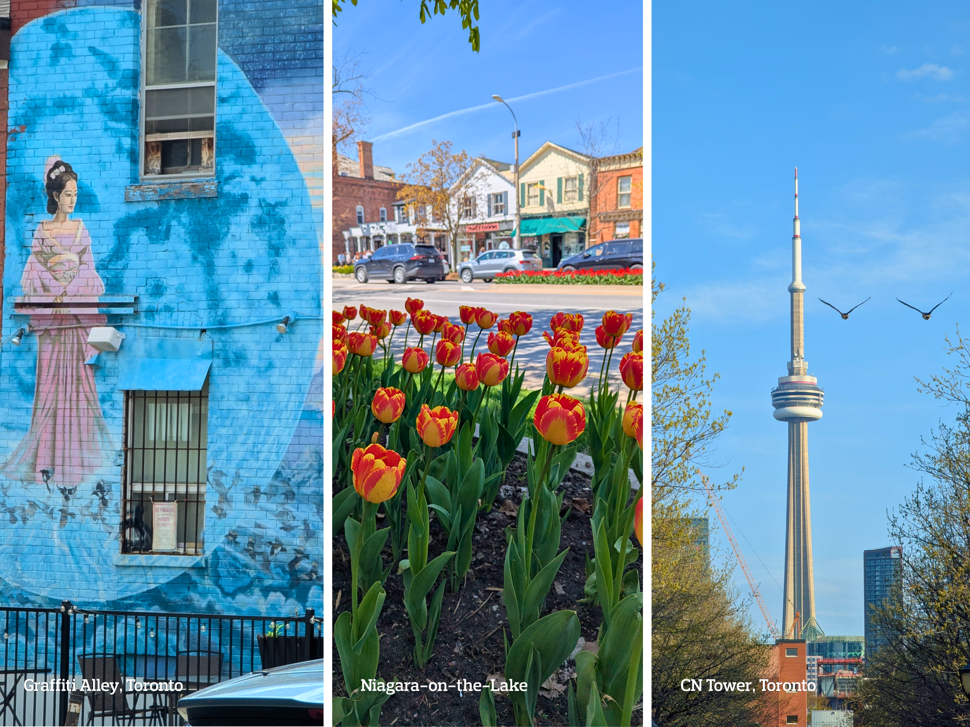 Things-to-do-in-toronto-canada