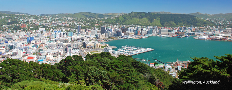 Wellington, Auckland, New Zealand Wellington, Auckland, New Zealand