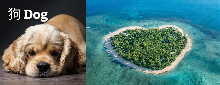 Dog - Fiji Dog - Fiji