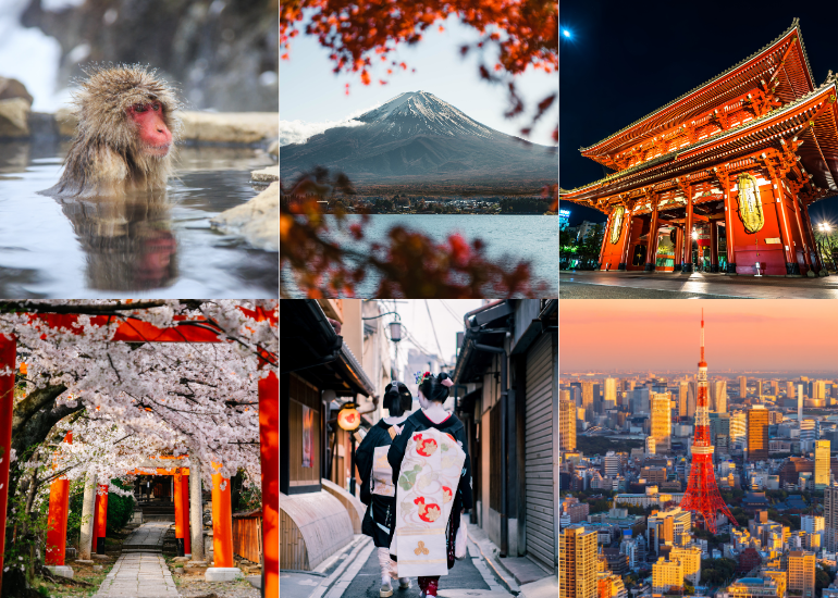 Where should Taurus travel in 2024? Taurus should travel Japan in 2024! Where should Taurus travel in 2024? Taurus should travel Japan in 2024!